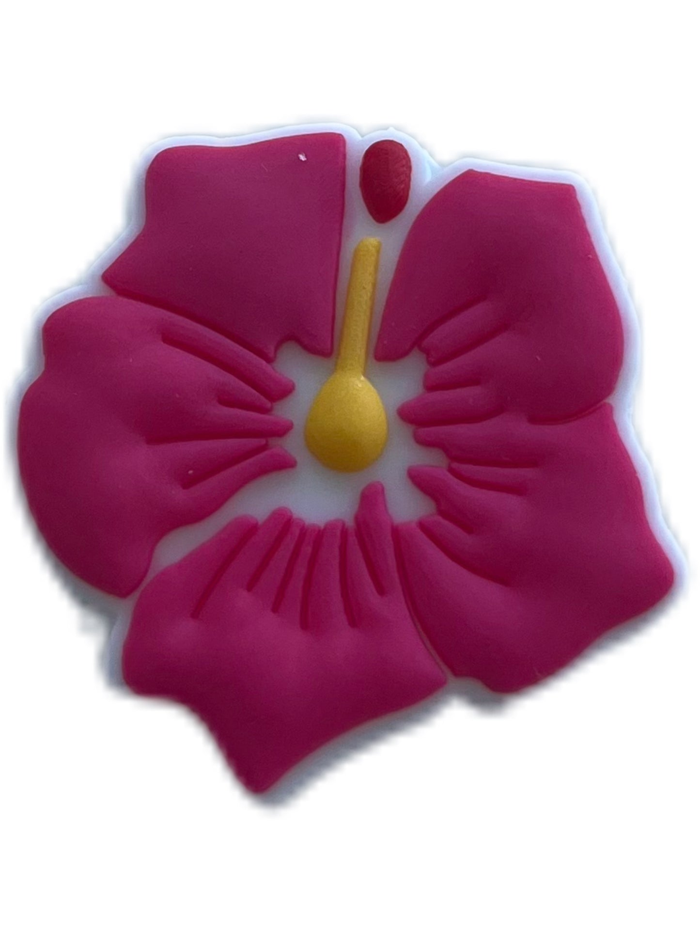 Hibiscus rose