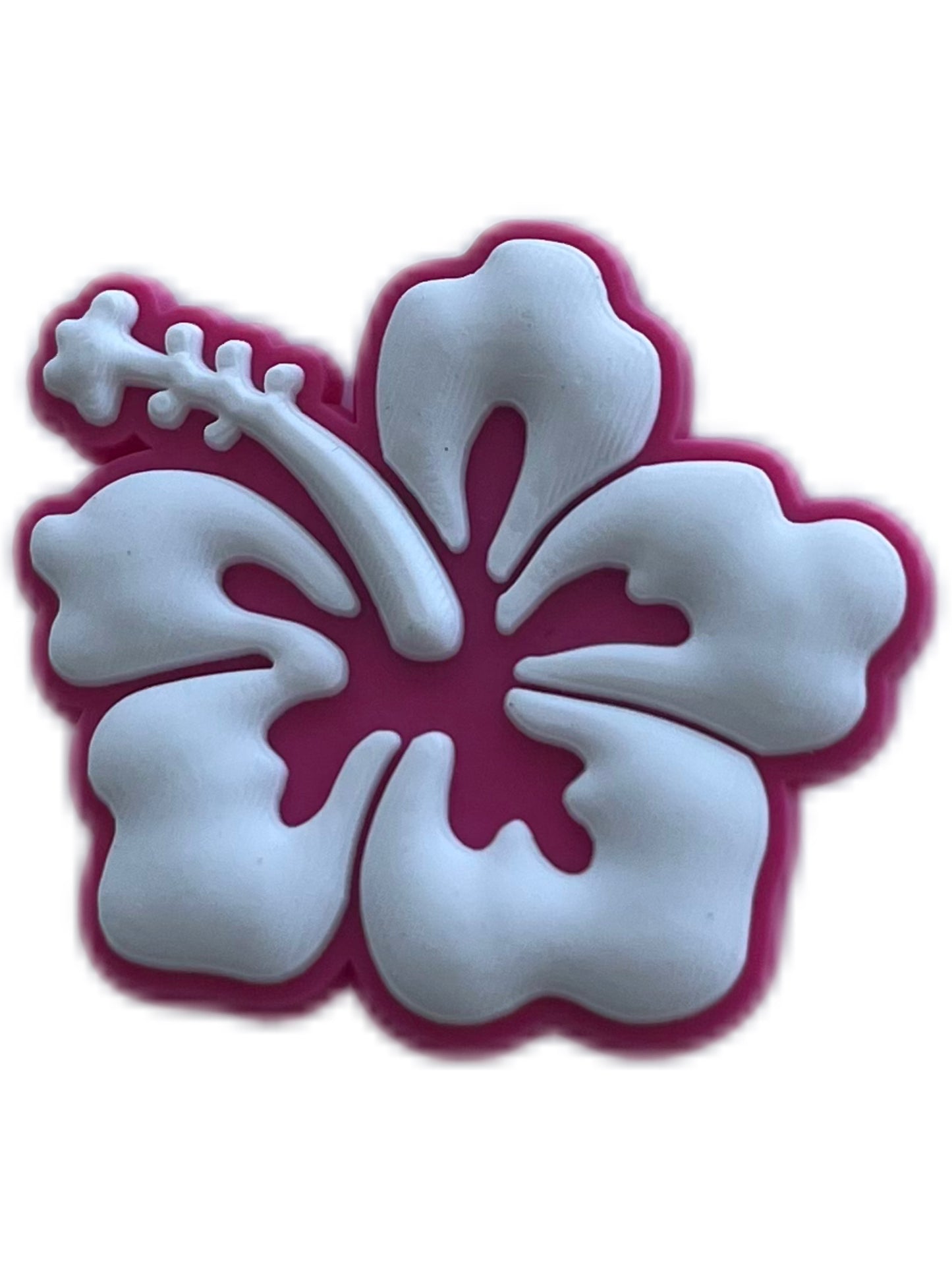 Hibiscus rose et blanc