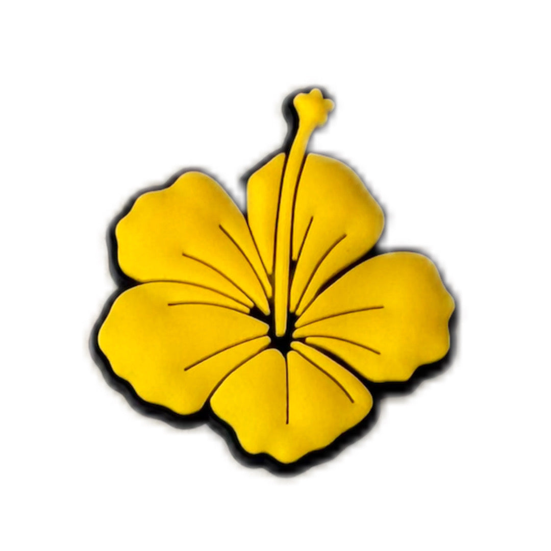 Hibiscus jaune