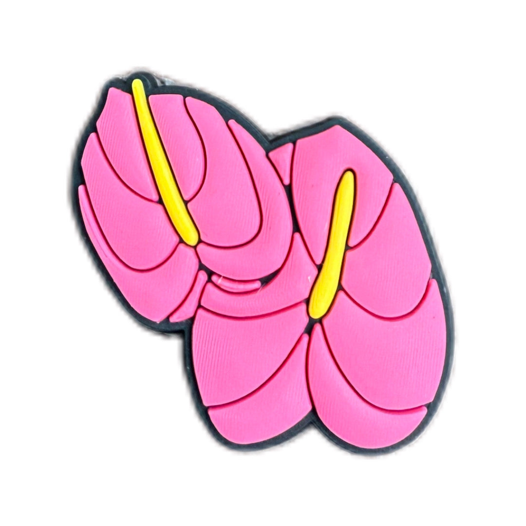 Anthurium