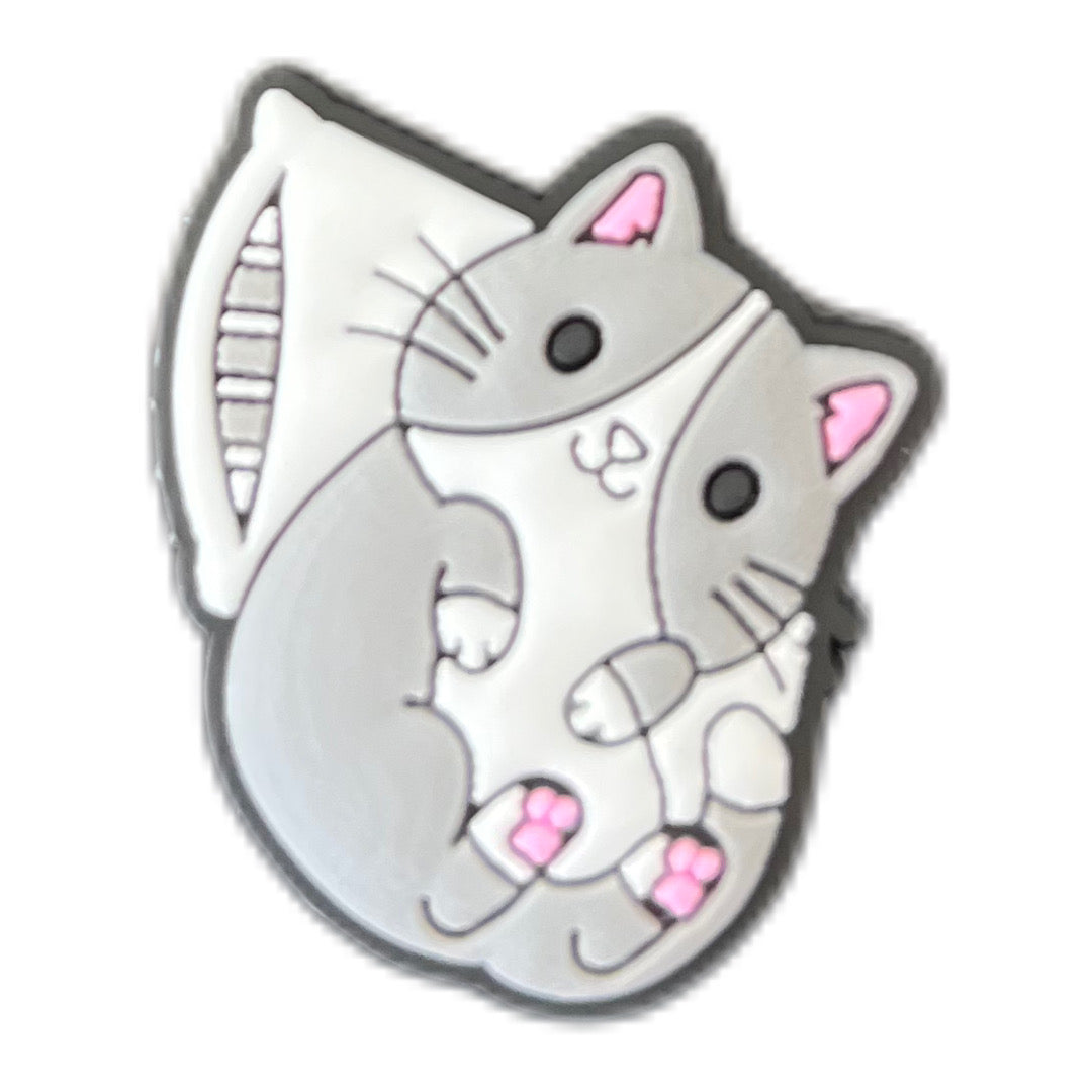 Chat coussin