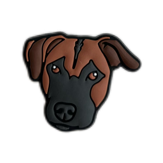 Chien marron et noir