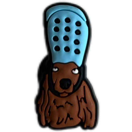 Chien crocs