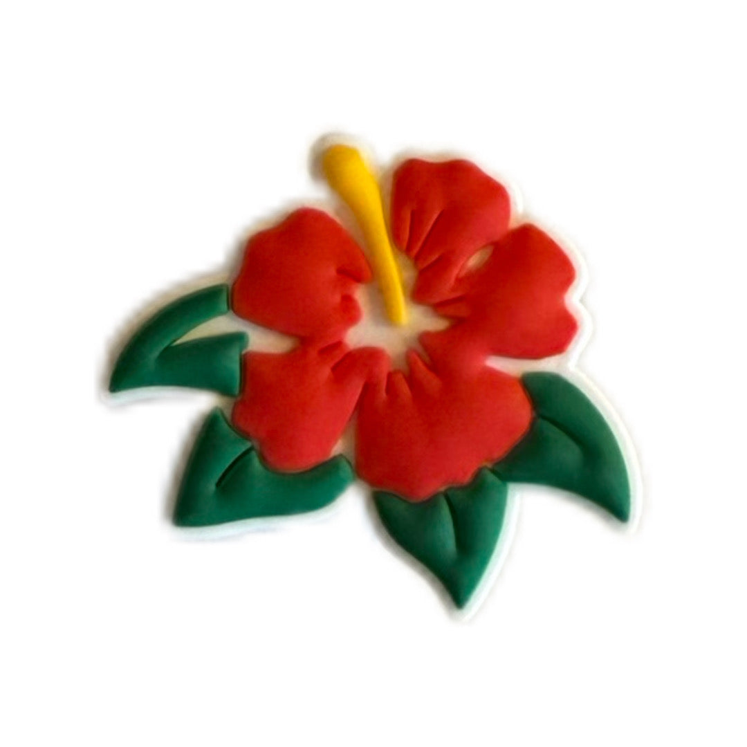 Hibiscus rouge