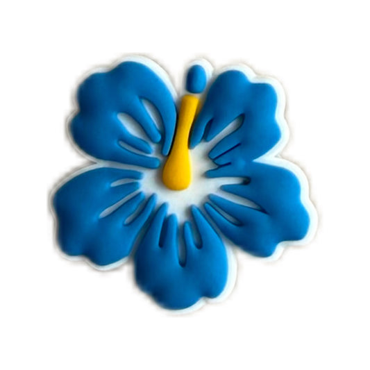 Hibiscus bleue