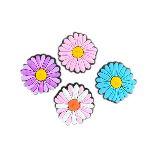 Marguerite couleurs multiples