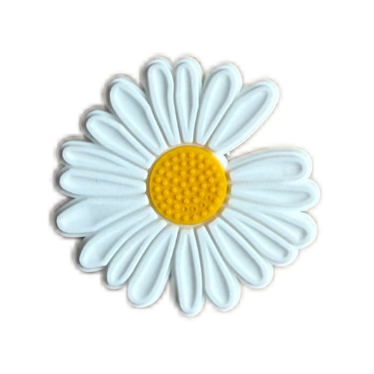 Marguerite blanche