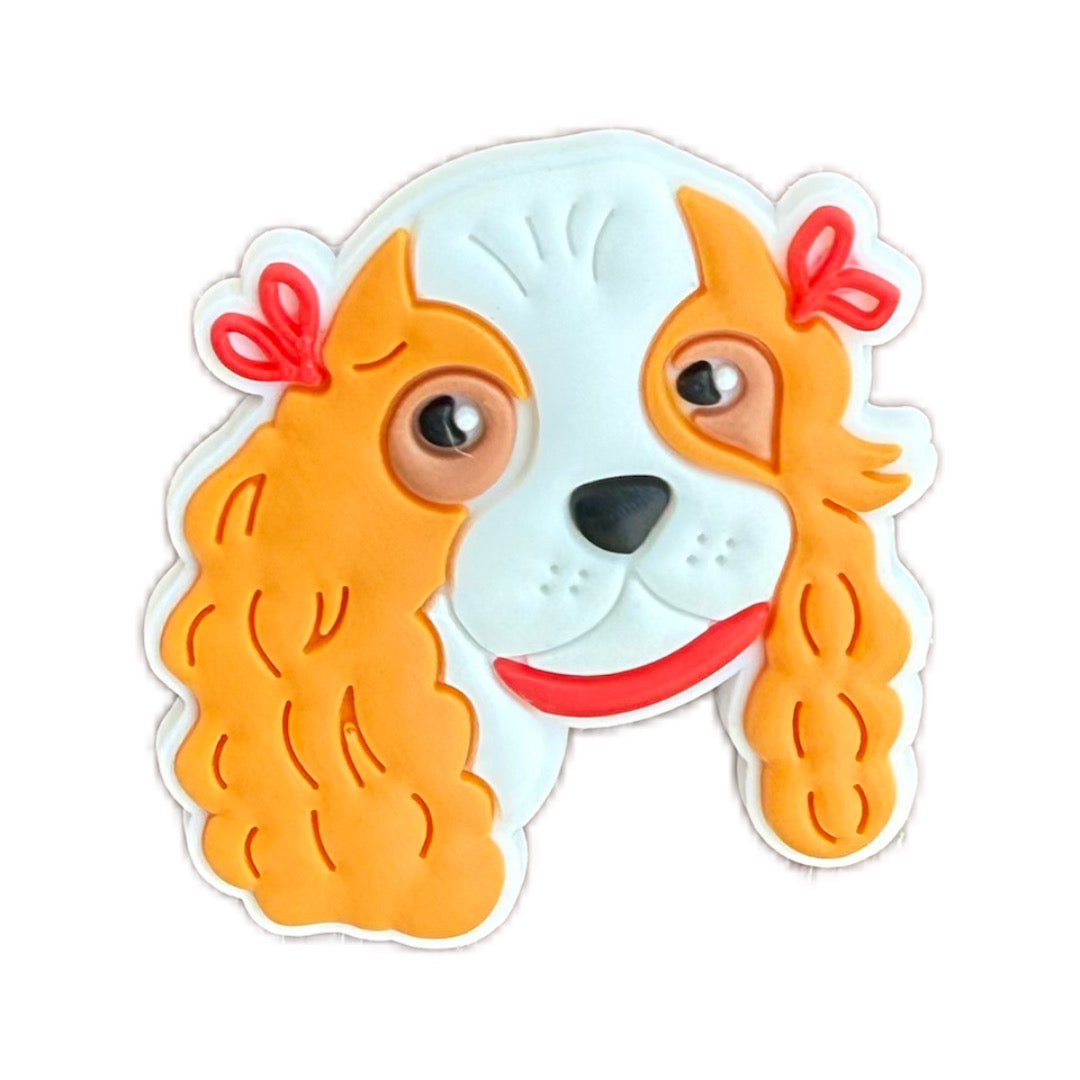 Cavalier King Charles