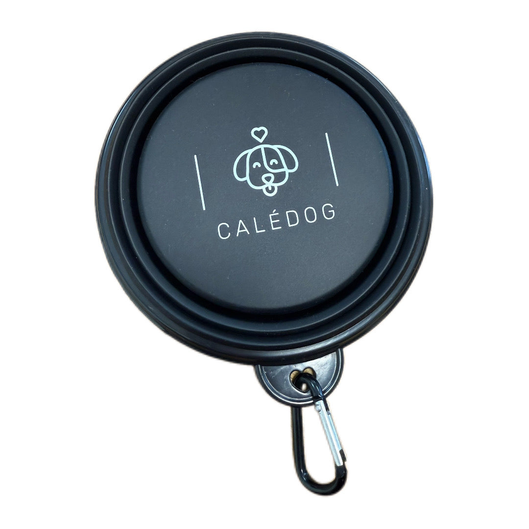 Bol de balade rétractable