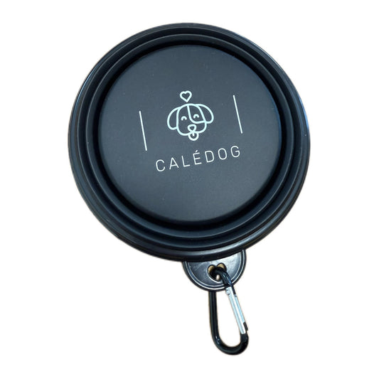 Bol de balade rétractable